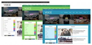 قالب رایگان وردپرس مجله ای Voice