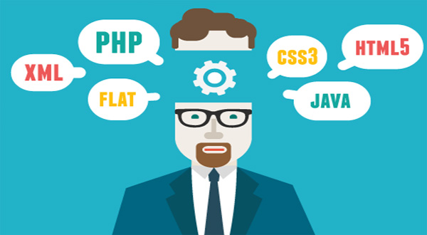اطلاعاتی در مورد وردپرس function.php ، فایل توابع وردپرس