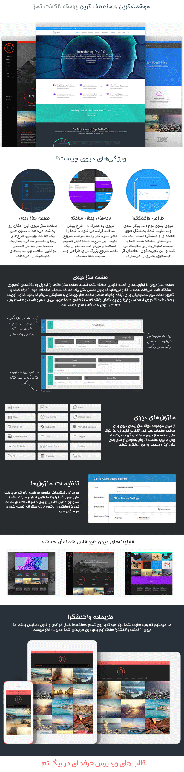قالب شرکتی وردپرس Divi